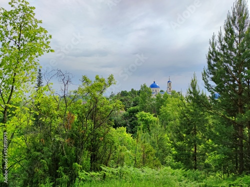 beautiful view of the temple in a small settlement through the green foliage of a trees against a cloudy sky before the rain