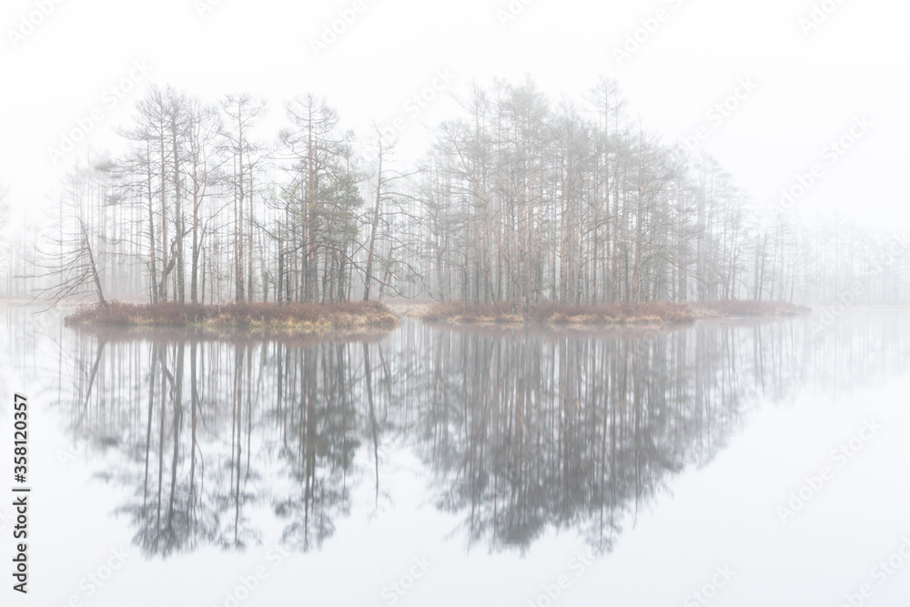 Foggy autumn morning cenas moor with reflections in a swamp lake