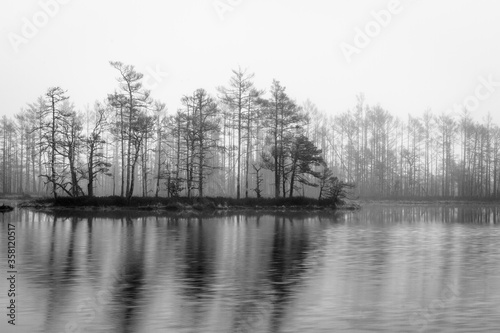 Foggy autumn morning cenas moor with reflections in a swamp lake