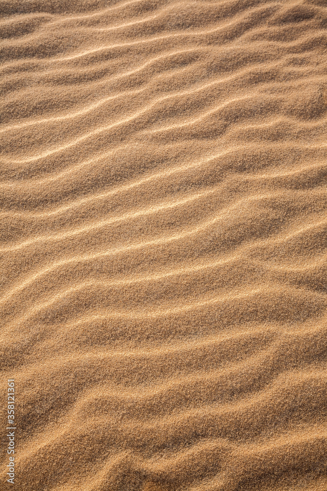 sand texture background sand texture background