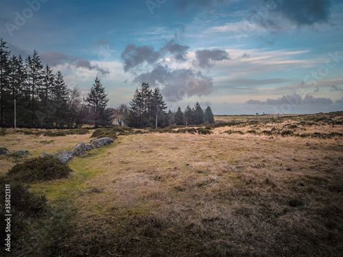 Fernworthy forest, West Devon, England photo