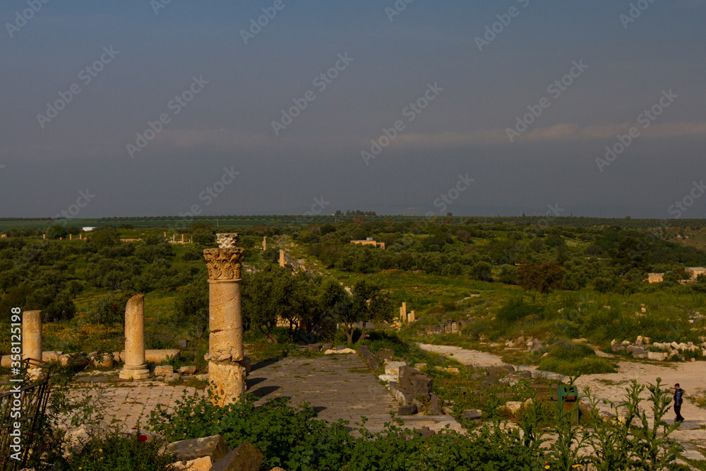 ruins of the ancient city, Umm Qais, Jordan