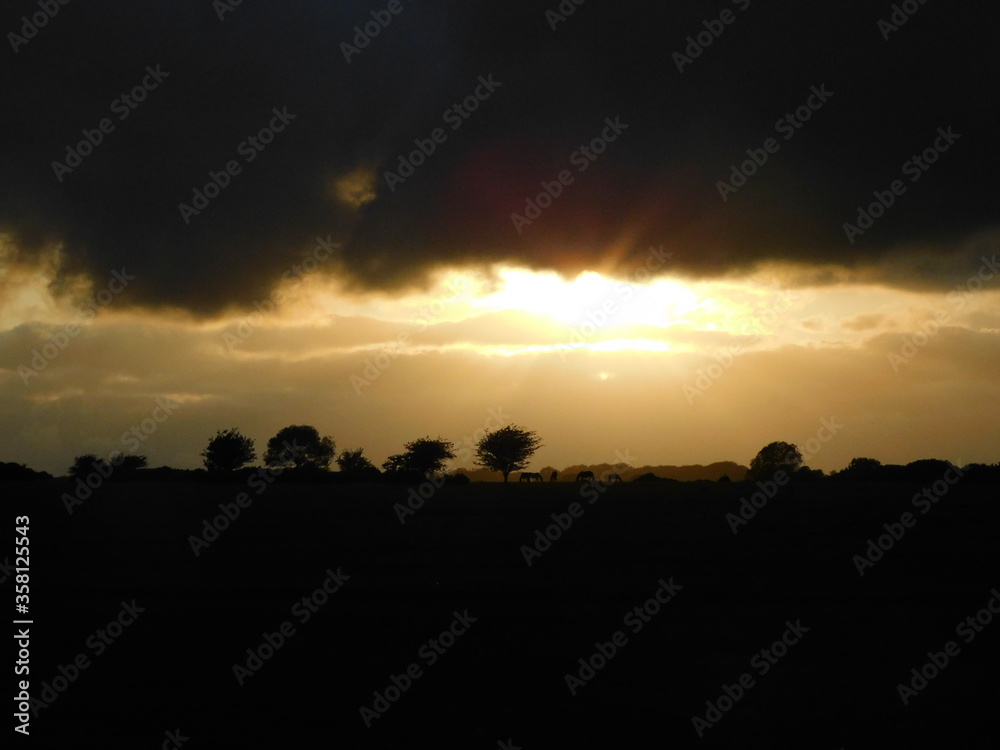 Horses on the horizon at sunset, Dartmoor Horses on the horizon at sunset, Dartmoor