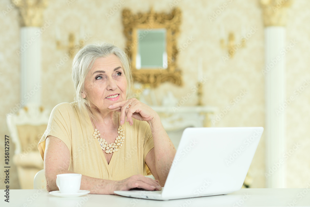 Senior woman sitting at table with laptop at home Senior woman sitting at table with laptop at home