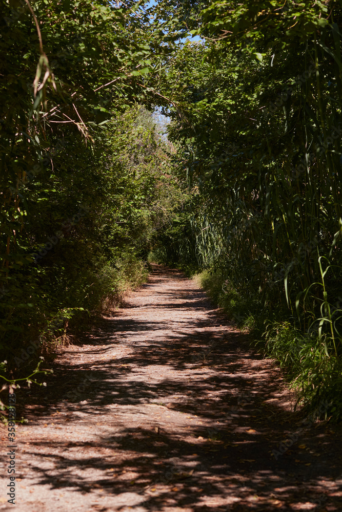 Beautiful walking trails in the S’Albufera Natural Park of Mallorca Spain Beautiful walking trails in the S’Albufera Natural Park of Mallorca Spain
