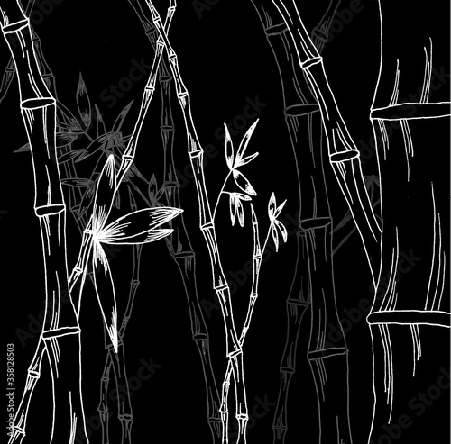stems of bamboo in several layers on a black background