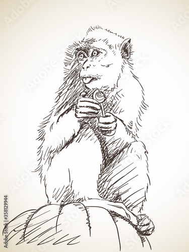 monkey
