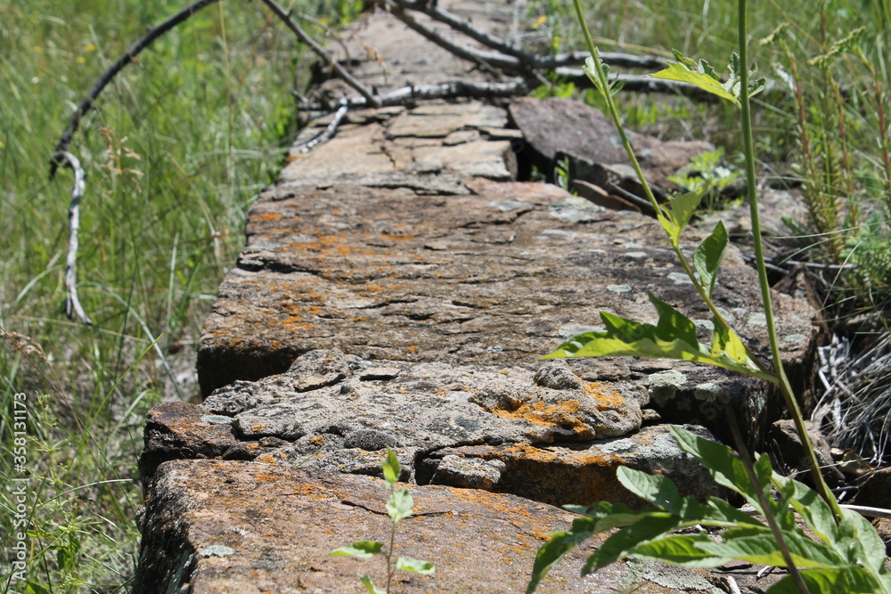 Fototapeta premium Stone path