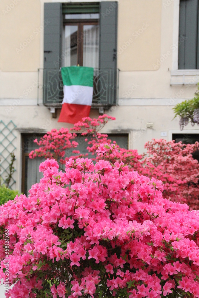 kwiaty flaga włochy budynek włoskie natura krzak okno okiennica - obrazy, fototapety, plakaty 
