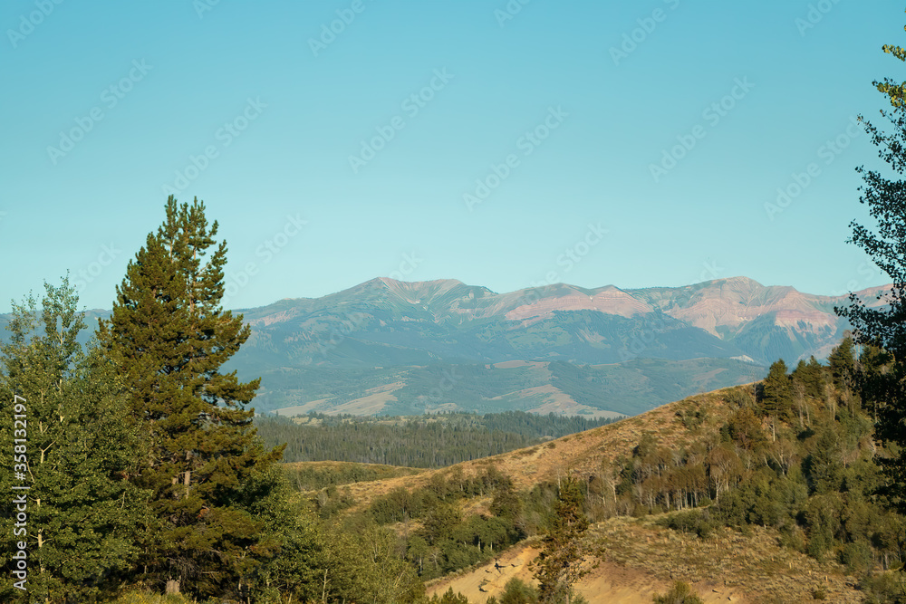 Wyoming mountain vista with foreground trees and sagebrush and distant forests and mountains.