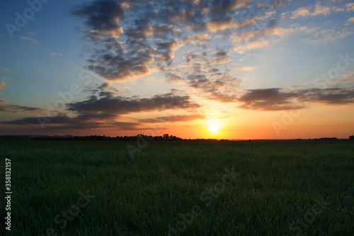 Beautiful summer landscape at sunset with volumetric clouds and green meadow.