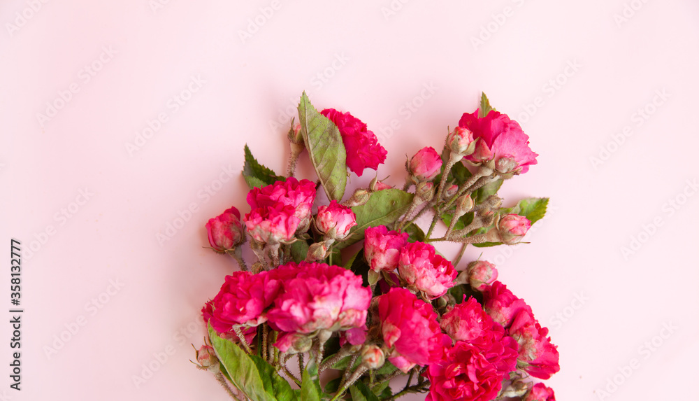 color composition of small spray roses. view from above. Empty space place for text.