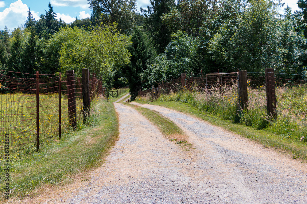 Receeding curved two track gravel road through pasture with old fences lining sides