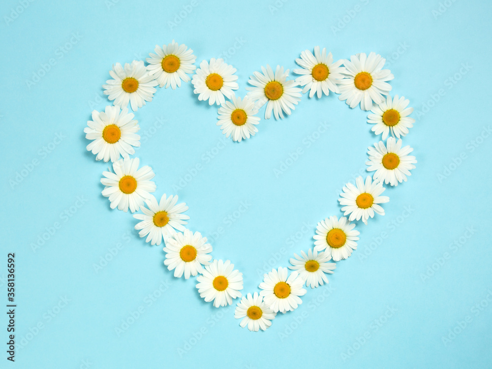 Сamomiles on Blue background. The heart is made of daisies.