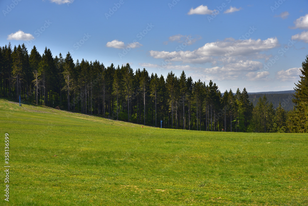 Fototapeta premium On the edge of the forest, Thuringia