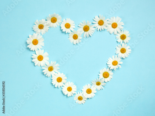 Сamomiles on Blue background. The heart is made of daisies.