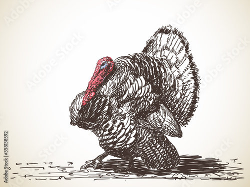 turkey