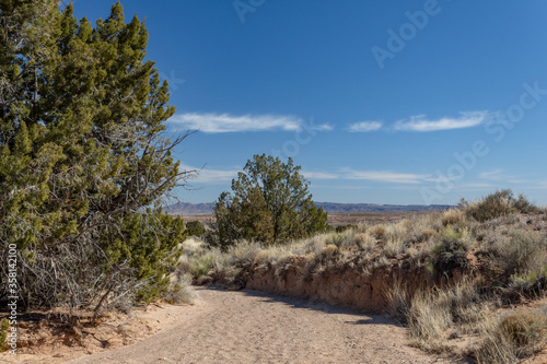 Path cut into rock and sand of Chihuahuan Desert  trees and dry grass before distant mountains  blue sky copy space  horizontal aspect