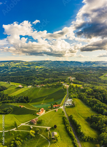 South styria vineyards aerial panorama landscape. Grape hills view from wine street in summer. photo