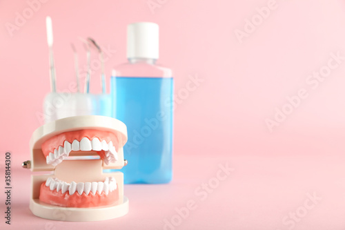 Teeth model with bottle of mouthwash and dental instruments on pink background