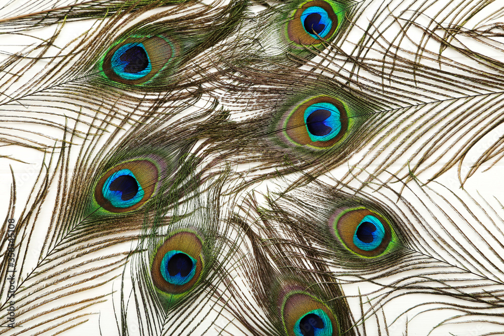Obraz premium Peacock feathers on white wooden table