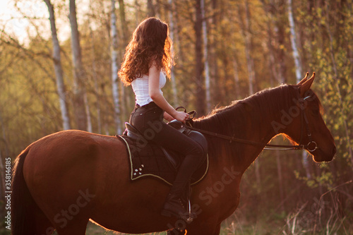 Beautiful woman sitting on horse on sunset background