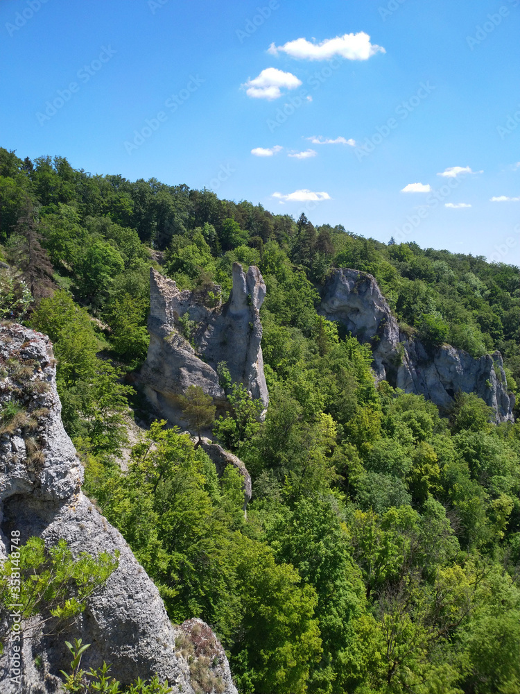 Fototapeta premium Donautal