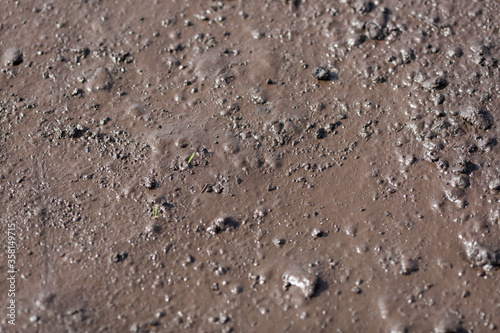 Wet peat, fertile soil