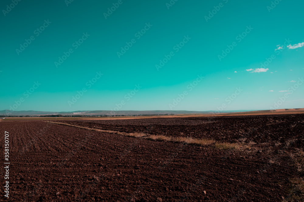 Agriculture  planting areas. Steppe landscape. Beautiful aqua blue sky. Sunny summer day. Country road.