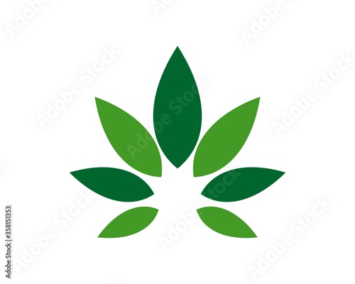 cannabis leaf in two colors
