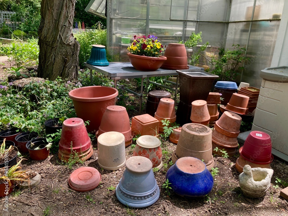 flower pots in the garden