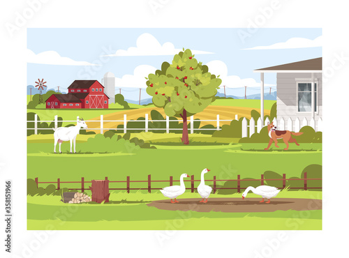 Farm with animals semi flat vector illustration. Geese eating seed on pasture. Milk goat stand outside ranch. Rural lifestyle activity. Farmland 2D cartoon landscape for commercial use