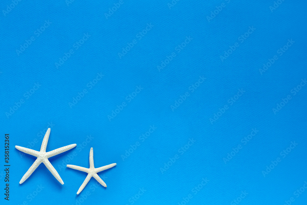 White Finger Starfish on blue background. Sea stars and shells. Sea, vacation, vacation mood. flat layout. space for text. top view. White Finger Starfish on blue background. Sea stars and shells. Sea, vacation, vacation mood. flat layout. space for text. top view.