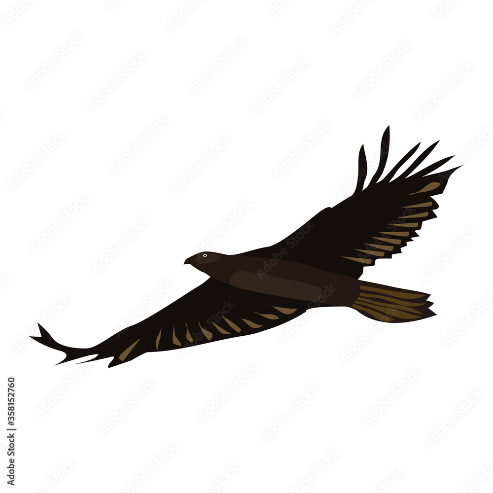 Flying eagle isolated on white. Brown big bird with spreading wings. Vector EPS10. Flying eagle isolated on white. Brown big bird with spreading wings. Vector EPS10.