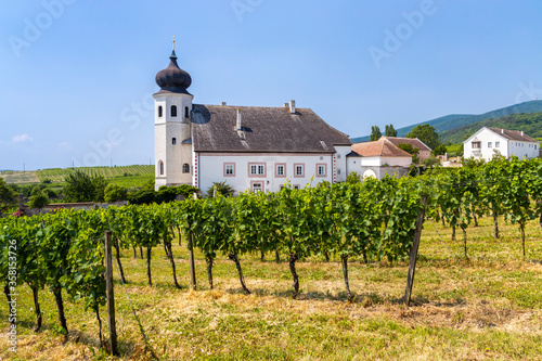 Monastery winery Thallern near Gumpoldskirchen  Lower Austria  Austria