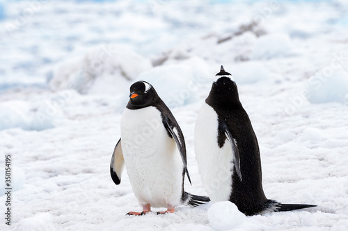 Antarctica  South Pole