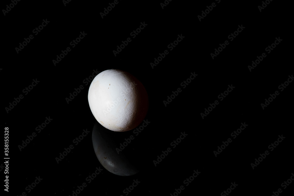 An isolated white egg with its reflection on the surface in a white background An isolated white egg with its reflection on the surface in a white background