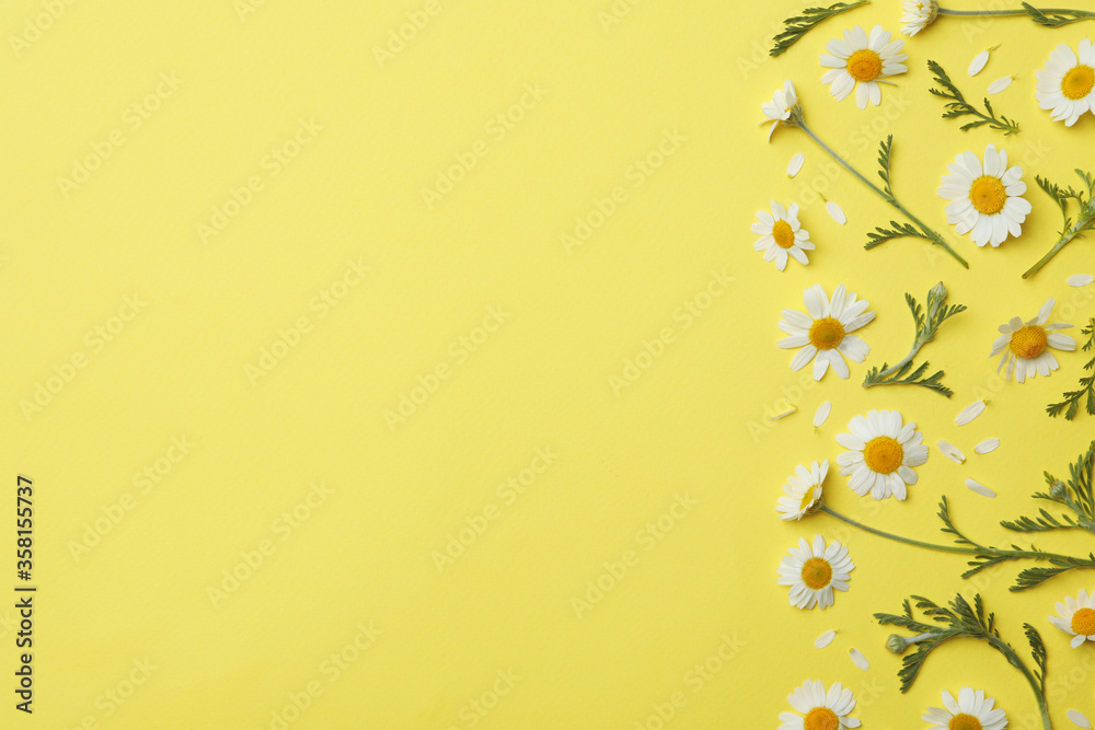 Flat lay composition with fresh chamomiles on yellow background. Space for text Flat lay composition with fresh chamomiles on yellow background. Space for text