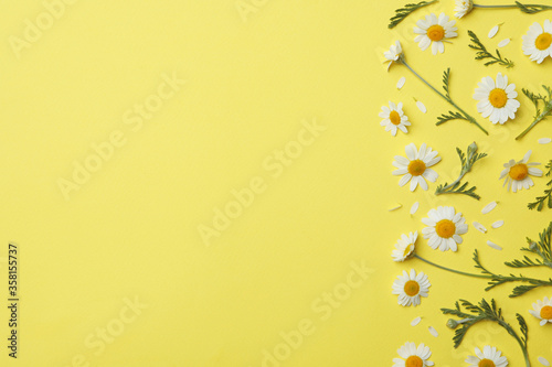 Flat lay composition with fresh chamomiles on yellow background. Space for text