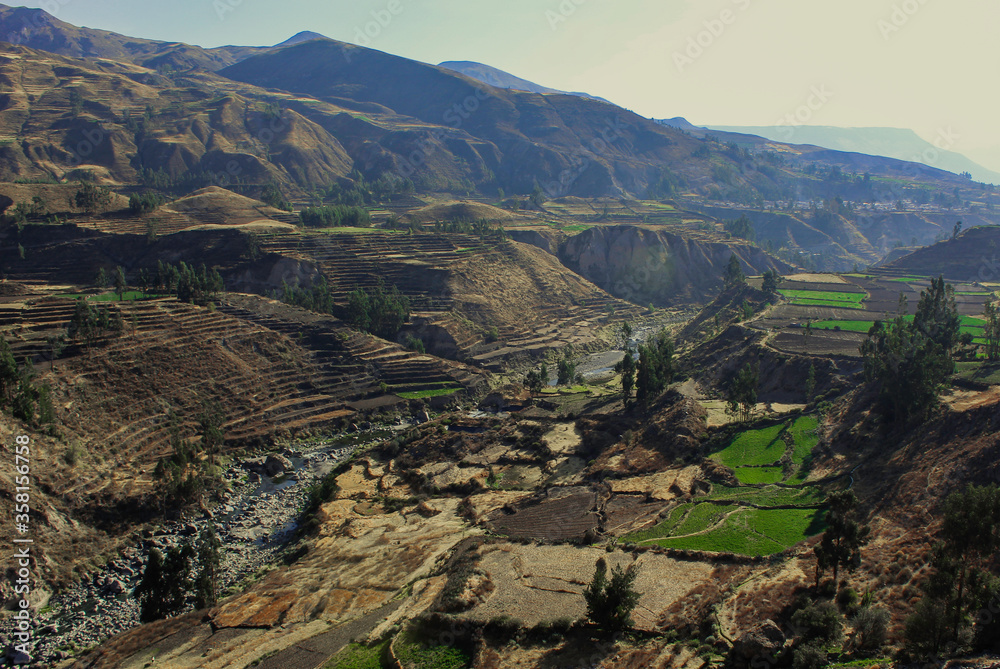 Fototapeta premium Landscape of colca canyon