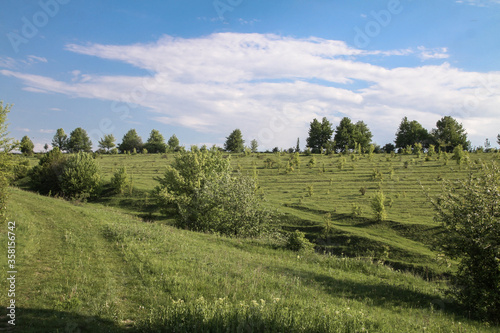 Beautiful summer landscape of nature countryside. Green vegetation of grass and trees with hills. Stock photo for design