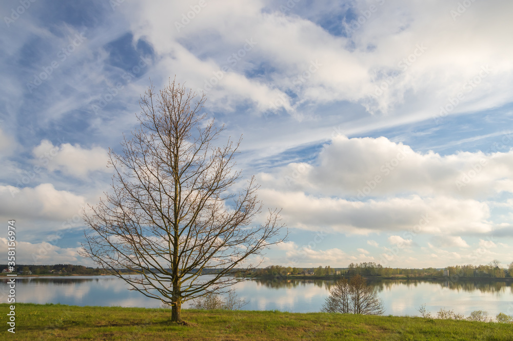 View to Daugava river from Daugava promenade in Riga on sunny spring day. Bare tree with green buds in foreground and beautiful white clouds reflecting in the water View to Daugava river from Daugava promenade in Riga on sunny spring day. Bare tree with green buds in foreground and beautiful white clouds reflecting in the water
