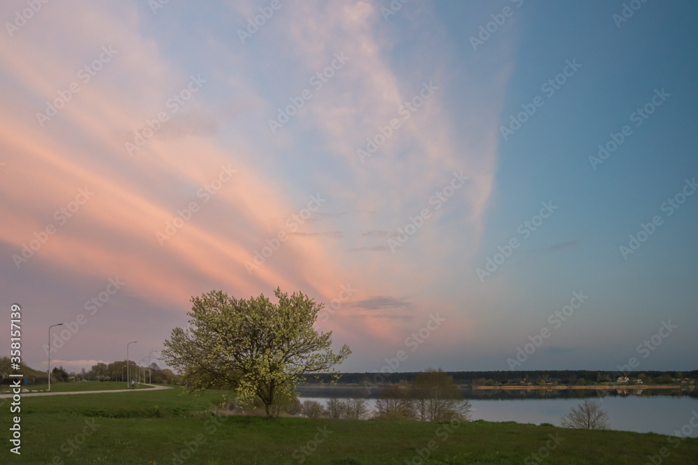 View to Daugava river from Daugava promenade in Riga with pink sunset sky in background. Blooming tree with white flowers in foreground and beautiful pink clouds clear blue sky.