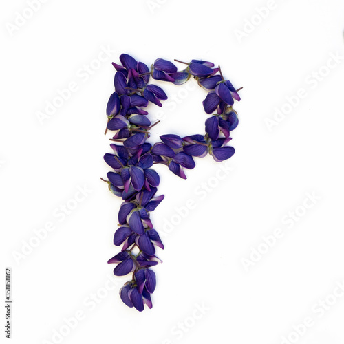 Letters of flowers, a bright alphabet of purple petals. Letter P.