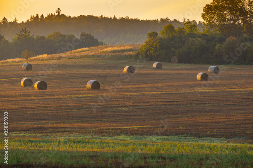 Sumava sumset near Svihov, Western Bohemia, Czech Republic photo