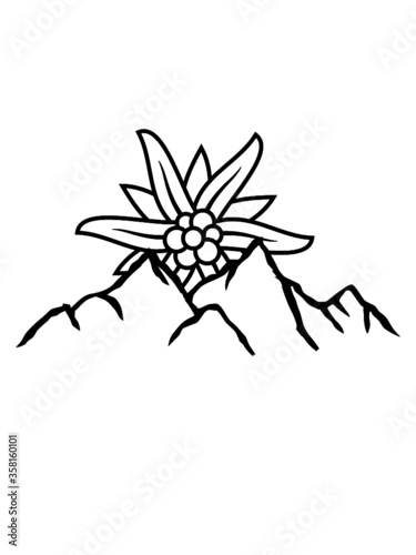 Logo Sonne Bergblume Edelweiß Design Clipart