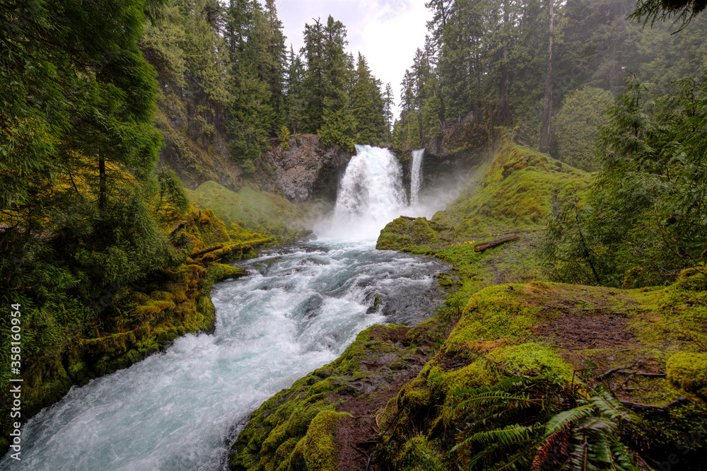 Naklejka premium Moss Waterfall 
