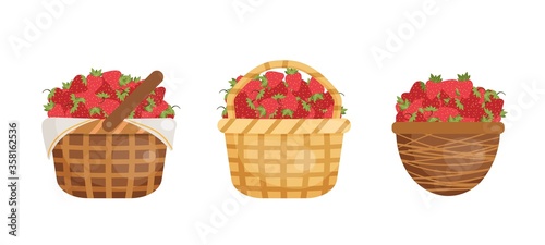 Vector illustration of strawberries in the baskets.