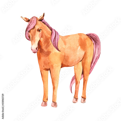 Watercolor red horse illustration isolated on white background.