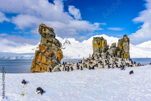 Obraz na płótnie It's Chinstrap Penguins (Pygoscelis antarctica) and a rock in Half Moon Island of the South Shetland Islands w salonie